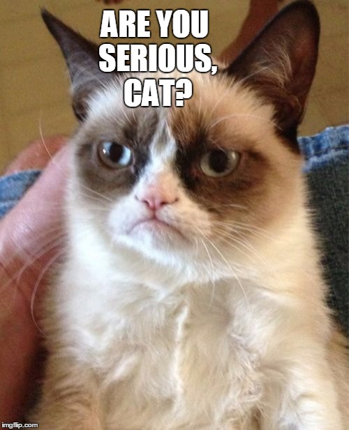 Grumpy Cat Meme | ARE YOU SERIOUS, CAT? | image tagged in memes,grumpy cat | made w/ Imgflip meme maker