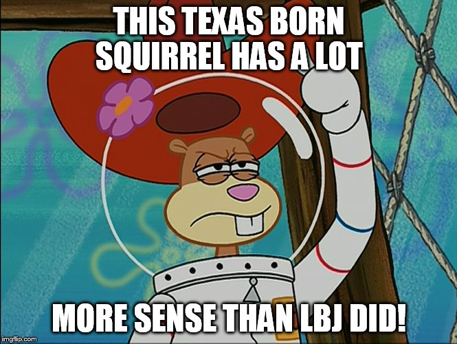 Sandy Cheeks - This Texas Born Squirrel | THIS TEXAS BORN SQUIRREL HAS A LOT MORE SENSE THAN LBJ DID! | image tagged in spongebob squarepants,sandycheeks,funny,funny memes,memes,politics | made w/ Imgflip meme maker