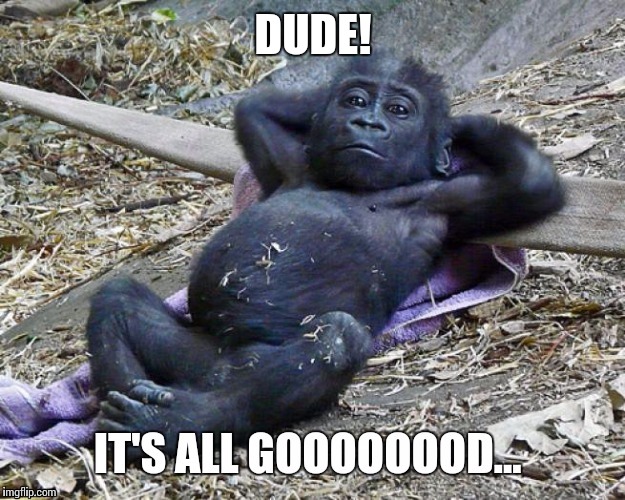 Chilled | DUDE! | image tagged in chill,dude,the dude | made w/ Imgflip meme maker