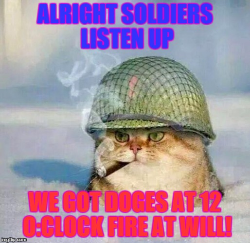War Cat | ALRIGHT SOLDIERS LISTEN UP WE GOT DOGES AT 12 O:CLOCK FIRE AT WILL! | image tagged in war cat | made w/ Imgflip meme maker