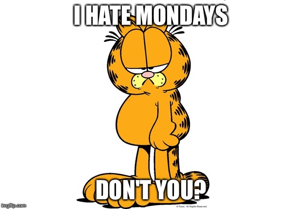 I HATE MONDAYS DON'T YOU? image tagged in grumpy garfield,memes,funny,...
