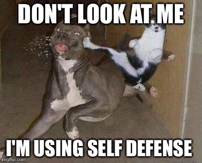 Cat Kicking Dog | DON'T LOOK AT ME I'M USING SELF DEFENSE | image tagged in cat kicking dog | made w/ Imgflip meme maker