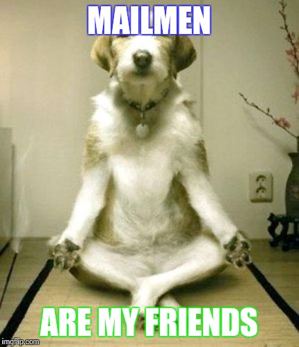 Inner Peace Dog | MAILMEN ARE MY FRIENDS | image tagged in inner peace dog | made w/ Imgflip meme maker