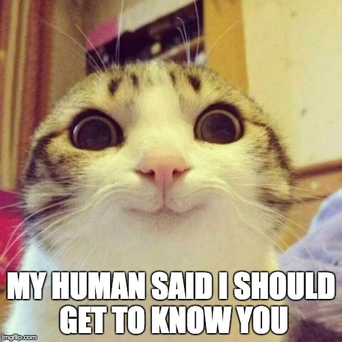 Overly attached girlfriend's overly attached cat. | MY HUMAN SAID I SHOULD GET TO KNOW YOU | image tagged in memes,smiling cat,overly attached girlfriend | made w/ Imgflip meme maker
