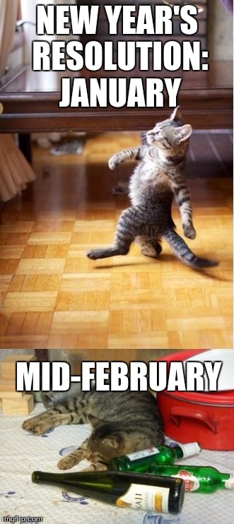 Party cat | NEW YEAR'S RESOLUTION: JANUARY MID-FEBRUARY | image tagged in party cat | made w/ Imgflip meme maker