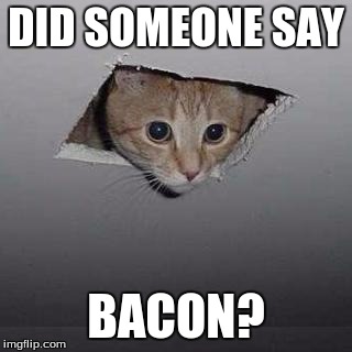 Ceiling Cat | DID SOMEONE SAY BACON? | image tagged in ceiling cat | made w/ Imgflip meme maker