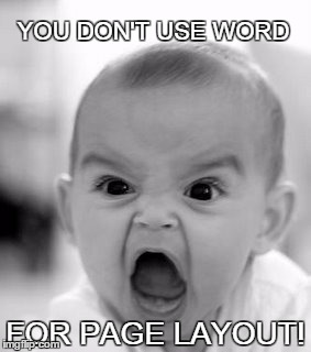 Angry Baby | YOU DON'T USE WORD FOR PAGE LAYOUT! | image tagged in memes,angry baby | made w/ Imgflip meme maker