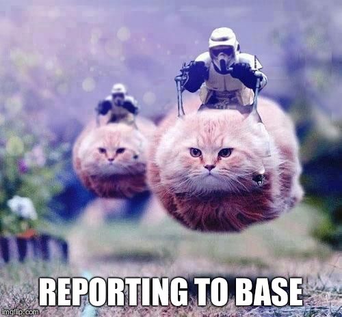 Hovercats | REPORTING TO BASE | image tagged in hovercats | made w/ Imgflip meme maker