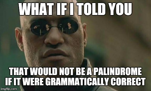 Matrix Morpheus Meme | WHAT IF I TOLD YOU THAT WOULD NOT BE A PALINDROME IF IT WERE GRAMMATICALLY CORRECT | image tagged in memes,matrix morpheus | made w/ Imgflip meme maker