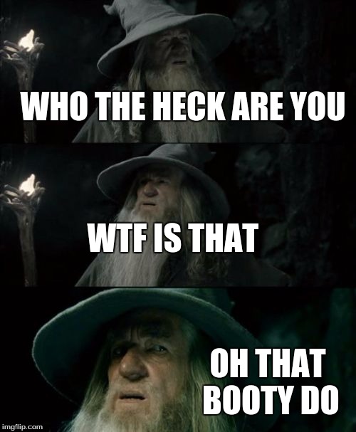 Confused Gandalf | WHO THE HECK ARE YOU WTF IS THAT OH THAT BOOTY DO | image tagged in memes,confused gandalf | made w/ Imgflip meme maker