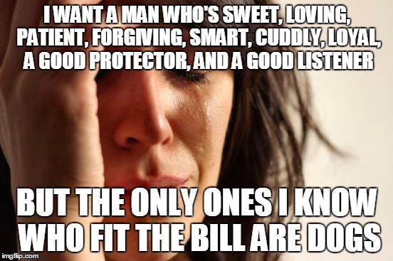 First World Problems | I WANT A MAN WHO'S SWEET, LOVING, PATIENT, FORGIVING, SMART, CUDDLY, LOYAL, A GOOD PROTECTOR, AND A GOOD LISTENER BUT THE ONLY ONES I KNOW W | image tagged in memes,first world problems | made w/ Imgflip meme maker