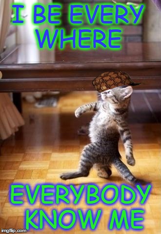 Cool Cat Stroll | I BE EVERY WHERE EVERYBODY KNOW ME | image tagged in memes,cool cat stroll,scumbag | made w/ Imgflip meme maker