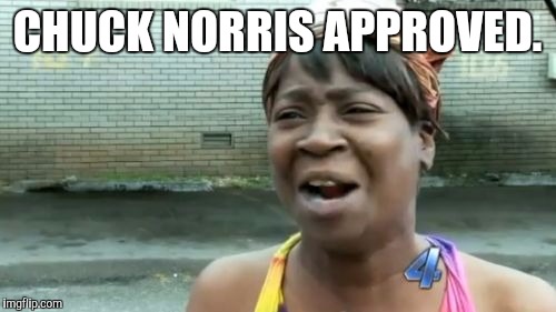 Ain't Nobody Got Time For That Meme | CHUCK NORRIS APPROVED. | image tagged in memes,aint nobody got time for that | made w/ Imgflip meme maker