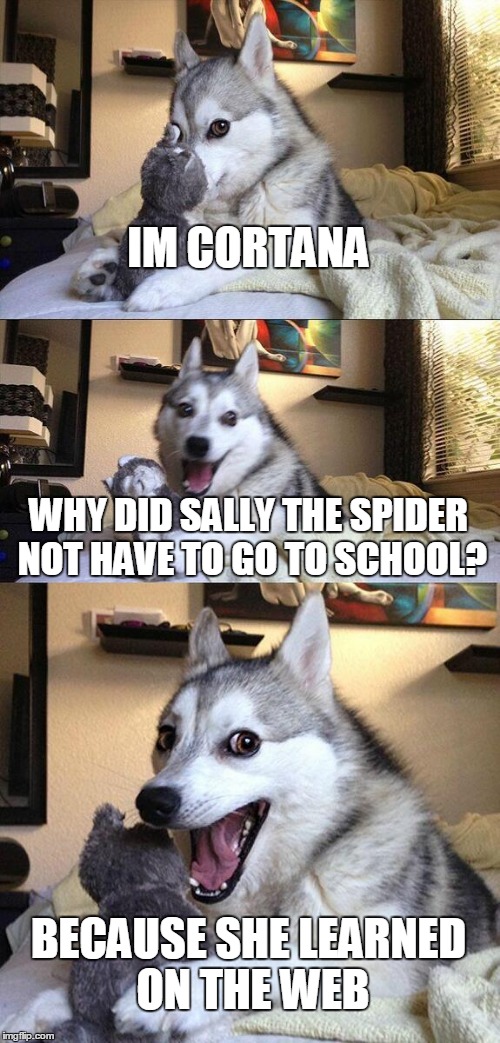Bad Pun Dog Meme | IM CORTANA WHY DID SALLY THE SPIDER NOT HAVE TO GO TO SCHOOL? BECAUSE SHE LEARNED ON THE WEB | image tagged in memes,bad pun dog | made w/ Imgflip meme maker
