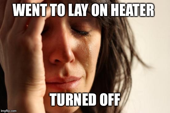 Can't tell u how much this happens to me | WENT TO LAY ON HEATER TURNED OFF | image tagged in memes,first world problems | made w/ Imgflip meme maker