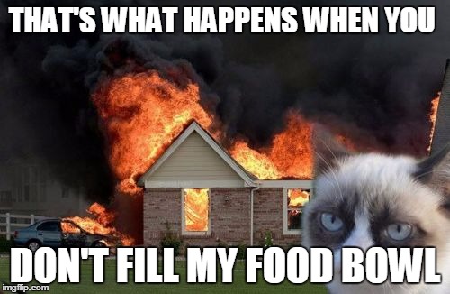 Burn Kitty | THAT'S WHAT HAPPENS WHEN YOU DON'T FILL MY FOOD BOWL | image tagged in memes,burn kitty | made w/ Imgflip meme maker