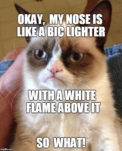 Grumpy Cat | OKAY,  MY NOSE IS LIKE A BIC LIGHTER SO  WHAT! WITH A WHITE FLAME ABOVE IT | image tagged in memes,grumpy cat | made w/ Imgflip meme maker