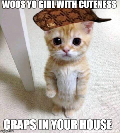 Cute Cat | WOOS YO GIRL WITH CUTENESS CRAPS IN YOUR HOUSE | image tagged in memes,cute cat,scumbag | made w/ Imgflip meme maker