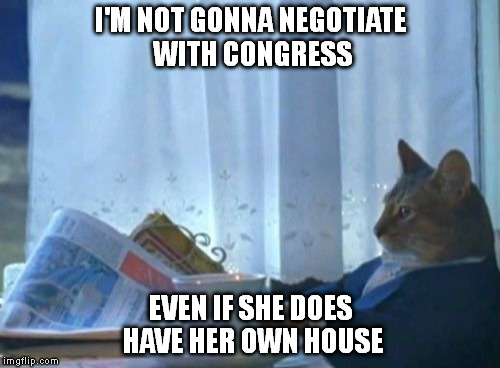 I Should Buy A Boat Cat Meme | I'M NOT GONNA NEGOTIATE WITH CONGRESS EVEN IF SHE DOES HAVE HER OWN HOUSE | image tagged in memes,i should buy a boat cat | made w/ Imgflip meme maker