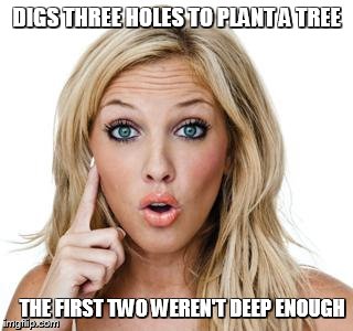 Dumb blonde | DIGS THREE HOLES TO PLANT A TREE THE FIRST TWO WEREN'T DEEP ENOUGH | image tagged in dumb blonde | made w/ Imgflip meme maker