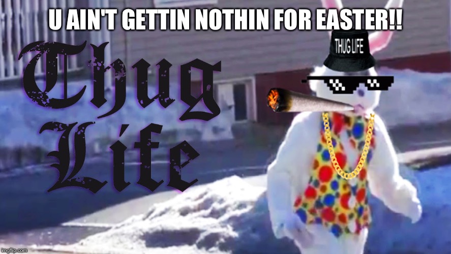 Easter bunny thug | U AIN'T GETTIN NOTHIN FOR EASTER!! | image tagged in easter bunny thug | made w/ Imgflip meme maker