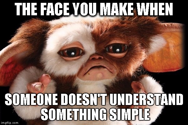 if gizmo was a teacher | THE FACE YOU MAKE WHEN SOMEONE DOESN'T UNDERSTAND SOMETHING SIMPLE | image tagged in gizmo,school | made w/ Imgflip meme maker