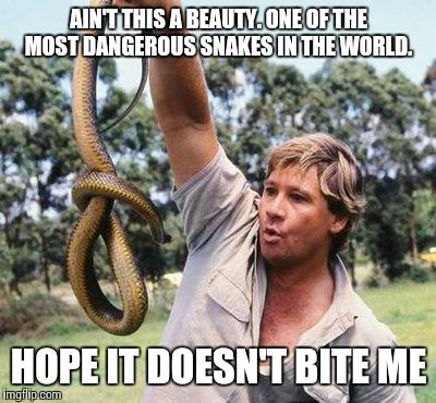 AIN'T THIS A BEAUTY. ONE OF THE MOST DANGEROUS SNAKES IN THE WORLD. HOPE IT DOESN'T BITE ME | image tagged in steve irwin,memes,snake | made w/ Imgflip meme maker