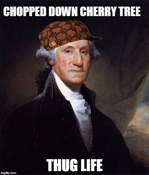 George Washington | CHOPPED DOWN CHERRY TREE THUG LIFE | image tagged in memes,george washington,scumbag | made w/ Imgflip meme maker