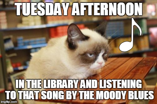 Grumpy Cat Table | TUESDAY AFTERNOON IN THE LIBRARY AND LISTENING TO THAT SONG BY THE MOODY BLUES | image tagged in memes,grumpy cat table | made w/ Imgflip meme maker