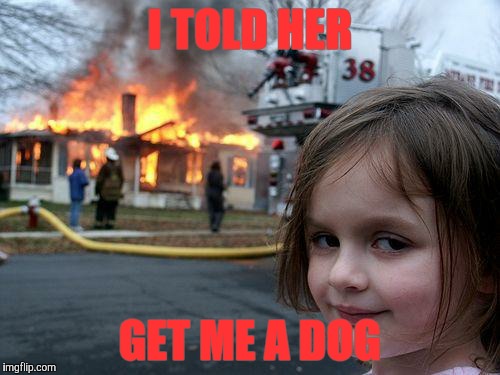 Disaster Girl | I TOLD HER GET ME A DOG | image tagged in memes,disaster girl | made w/ Imgflip meme maker