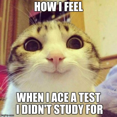 Smiling Cat Meme | HOW I FEEL WHEN I ACE A TEST I DIDN'T STUDY FOR | image tagged in memes,smiling cat | made w/ Imgflip meme maker