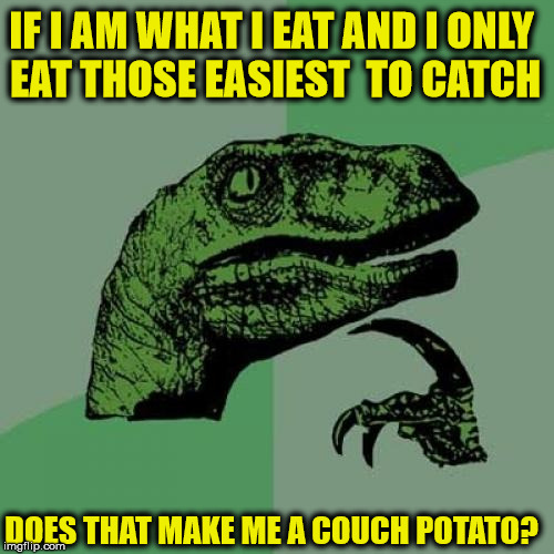 Philosoraptor Meme | IF I AM WHAT I EAT AND I ONLY EAT THOSE EASIEST  TO CATCH DOES THAT MAKE ME A COUCH POTATO? | image tagged in memes,philosoraptor | made w/ Imgflip meme maker