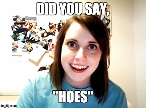 Overly Attached Girlfriend Meme | DID YOU SAY, "HOES" | image tagged in memes,overly attached girlfriend | made w/ Imgflip meme maker