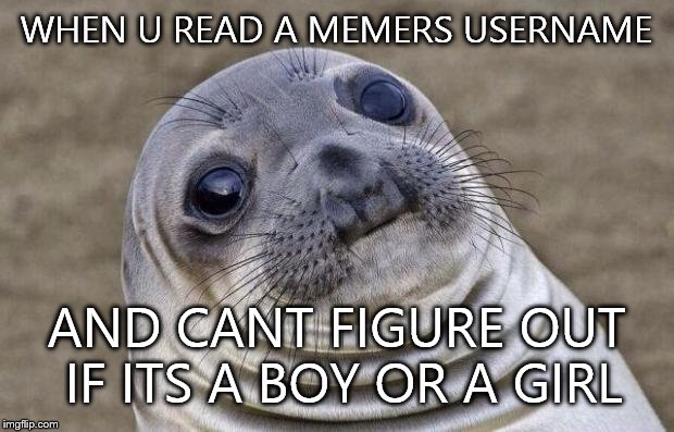 Awkward Moment Sealion | WHEN U READ A MEMERS USERNAME AND CANT FIGURE OUT IF ITS A BOY OR A GIRL | image tagged in memes,awkward moment sealion | made w/ Imgflip meme maker