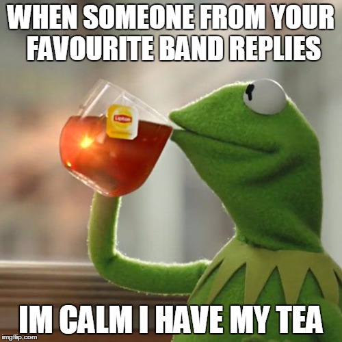 But That's None Of My Business | WHEN SOMEONE FROM YOUR FAVOURITE BAND REPLIES IM CALM I HAVE MY TEA | image tagged in memes,but thats none of my business,kermit the frog | made w/ Imgflip meme maker