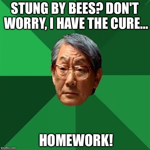 High Expectations Asian Father | STUNG BY BEES? DON'T WORRY, I HAVE THE CURE... HOMEWORK! | image tagged in memes,high expectations asian father | made w/ Imgflip meme maker
