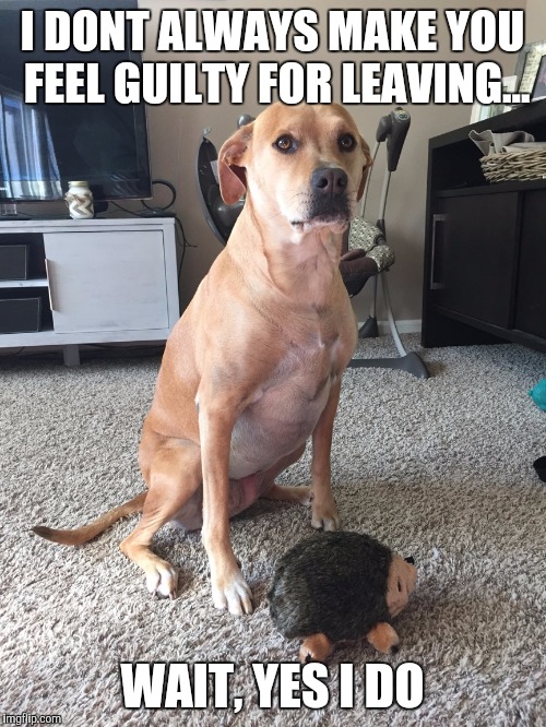 I DONT ALWAYS MAKE YOU FEEL GUILTY FOR LEAVING... WAIT, YES I DO | image tagged in the most interesting dog in the world | made w/ Imgflip meme maker