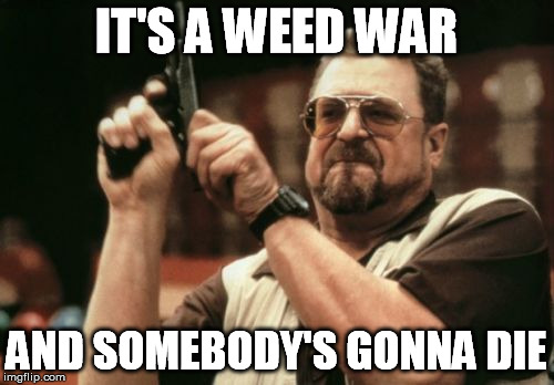 Am I The Only One Around Here Meme | IT'S A WEED WAR AND SOMEBODY'S GONNA DIE | image tagged in memes,am i the only one around here | made w/ Imgflip meme maker