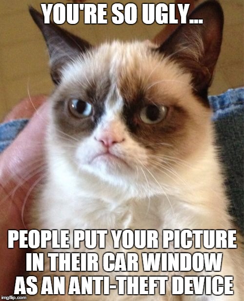 Grumpy Cat | YOU'RE SO UGLY... PEOPLE PUT YOUR PICTURE IN THEIR CAR WINDOW AS AN ANTI-THEFT DEVICE | image tagged in memes,grumpy cat | made w/ Imgflip meme maker