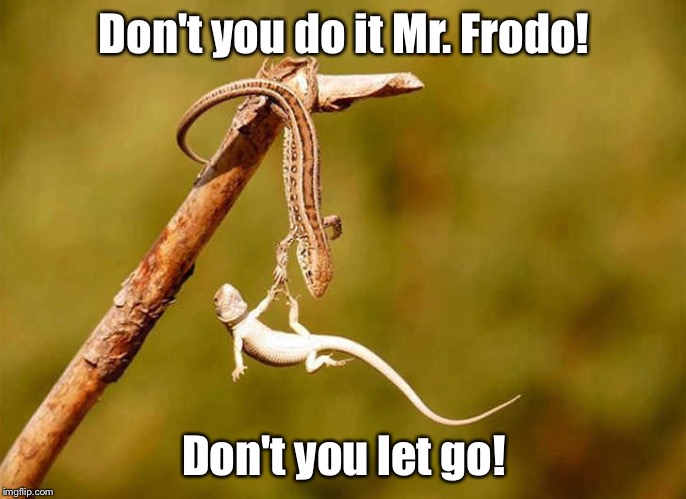 Don't let go! | Don't you do it Mr. Frodo! Don't you let go! | image tagged in lord of the rings,frodo,let it go | made w/ Imgflip meme maker