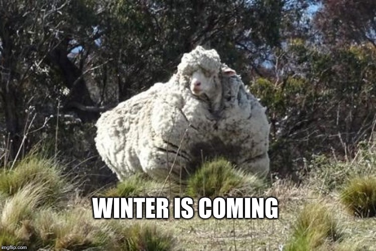 Winter is Coming  | WINTER IS COMING | image tagged in winter is coming,cold weather,2015,memes | made w/ Imgflip meme maker