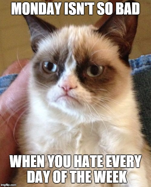 Grumpy Cat Meme | MONDAY ISN'T SO BAD WHEN YOU HATE EVERY DAY OF THE WEEK | image tagged in memes,grumpy cat | made w/ Imgflip meme maker