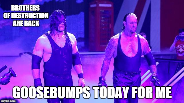 BROTHERS OF DESTRUCTION ARE BACK GOOSEBUMPS TODAY FOR ME | image tagged in wwe,kane,undertaker | made w/ Imgflip meme maker