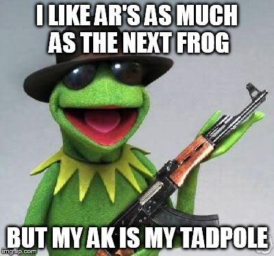 kermit-gun | I LIKE AR'S AS MUCH AS THE NEXT FROG BUT MY AK IS MY TADPOLE | image tagged in kermit-gun | made w/ Imgflip meme maker