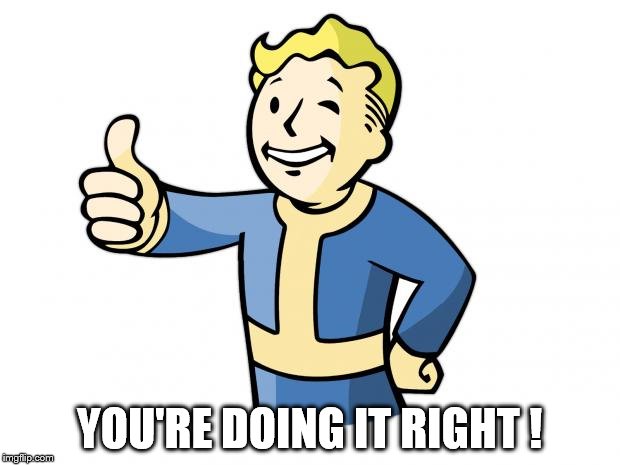 Fallout Vault Boy | YOU'RE DOING IT RIGHT ! | image tagged in fallout vault boy | made w/ Imgflip meme maker