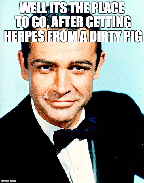 WELL ITS THE PLACE TO GO, AFTER GETTING HERPES FROM A DIRTY PIG | image tagged in scumbag sean | made w/ Imgflip meme maker