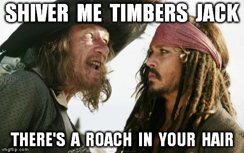 Barbosa And Sparrow Meme | SHIVER  ME  TIMBERS  JACK THERE'S  A  ROACH  IN  YOUR  HAIR | image tagged in memes,barbosa and sparrow | made w/ Imgflip meme maker