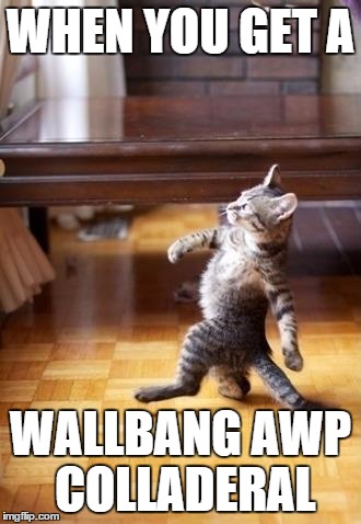 Cool Cat Stroll | WHEN YOU GET A WALLBANG AWP COLLADERAL | image tagged in memes,cool cat stroll | made w/ Imgflip meme maker