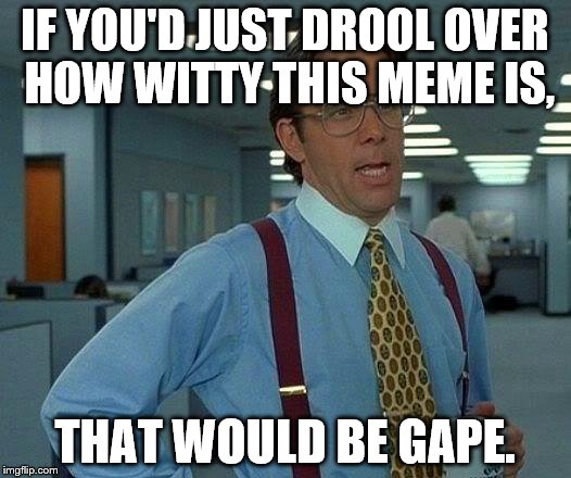 That Would Be Great | IF YOU'D JUST DROOL OVER HOW WITTY THIS MEME IS, THAT WOULD BE GAPE. | image tagged in memes,that would be great | made w/ Imgflip meme maker