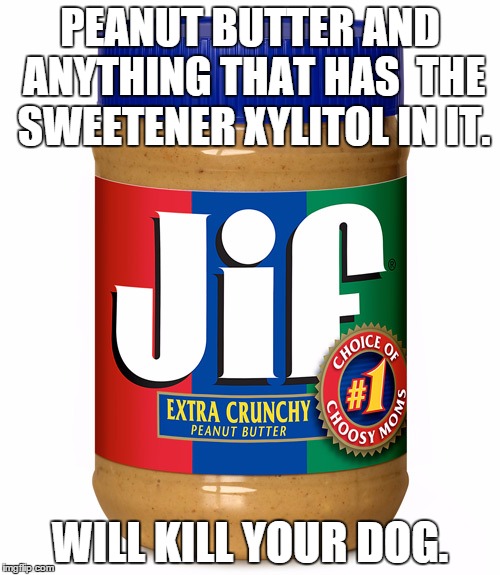 Kill your dog | PEANUT BUTTER AND ANYTHING THAT HAS  THE SWEETENER XYLITOL IN IT. WILL KILL YOUR DOG. | image tagged in dog peanut butter,dog,kill,penut | made w/ Imgflip meme maker